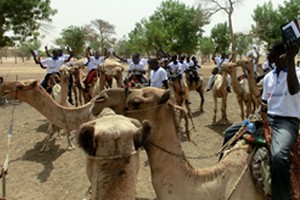 ^59131C04CC3107194540ADBC1ABB0FC33EFDDB87F99A1FD4E6^pimgpsh_fullsize_distr